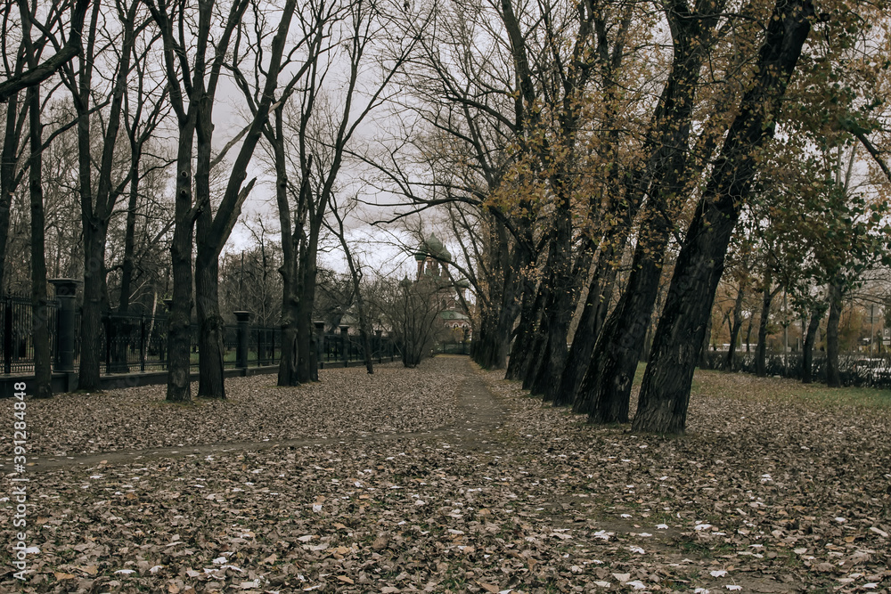 Gloomy autumn park with leaves on the ground and tall trees. Bad weather. A church in the distance. Gloomy autumn park with leaves on the ground and tall trees. Bad weather. A church in the distance.