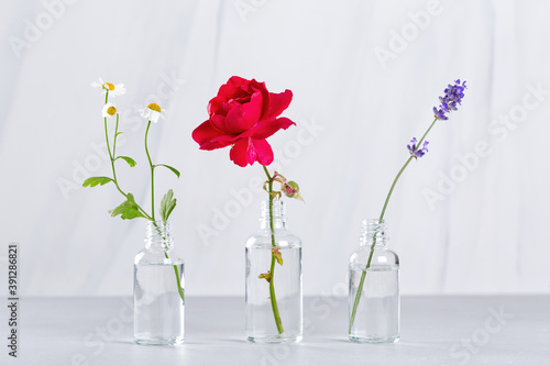 Transparent bottles with herbs and medical flowers for essential oils.