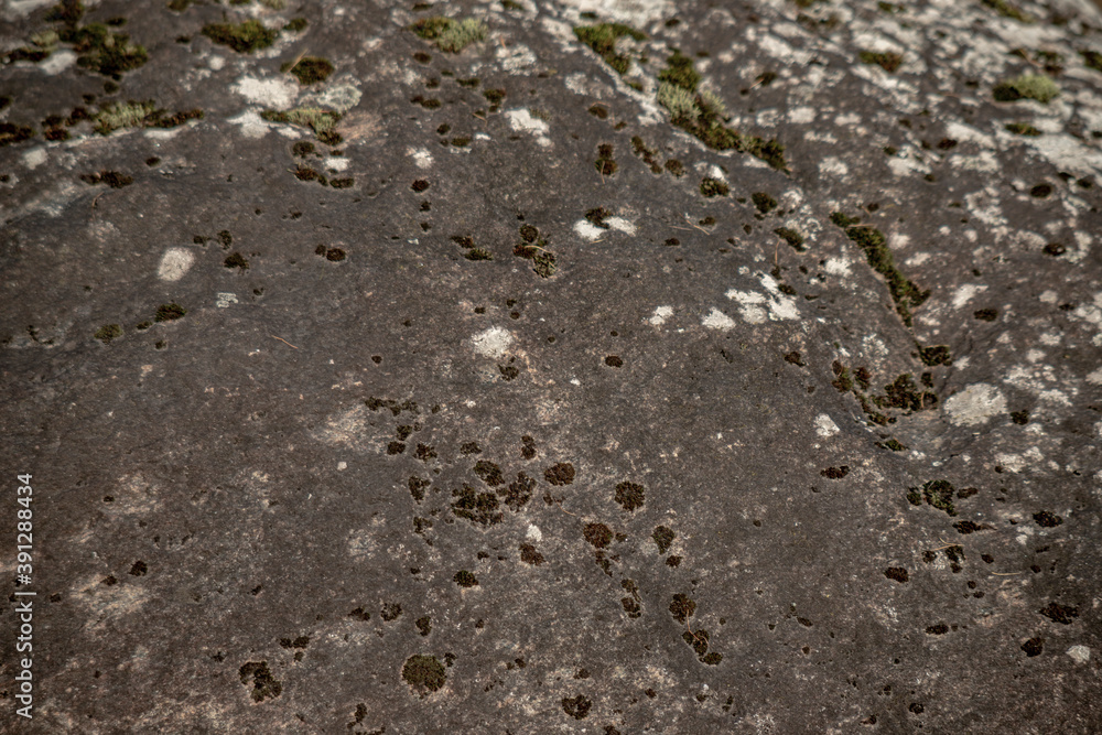 natural grunge texture moss on old huge granite boulder surface natural grunge texture moss on old huge granite boulder surface