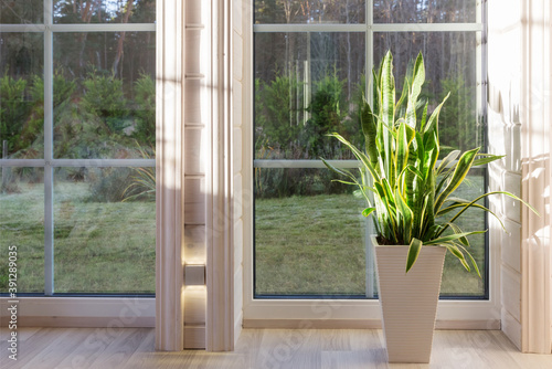 Bright photo studio interior with big window  high ceiling  white wooden floor