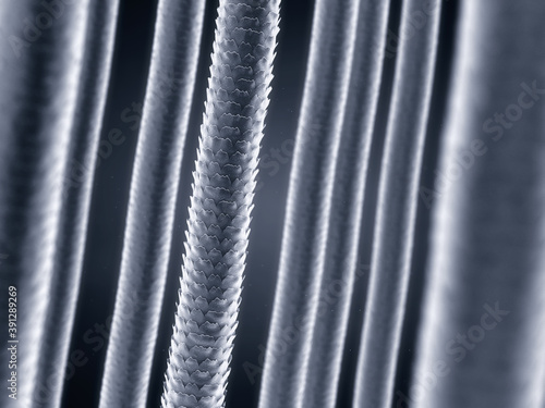 Fotografija Low and High porosity hair strands, Hair damage concept