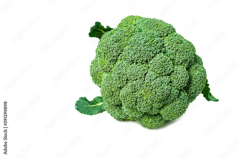 Fresh broccoli isolated on white background. Fresh broccoli isolated on white background.