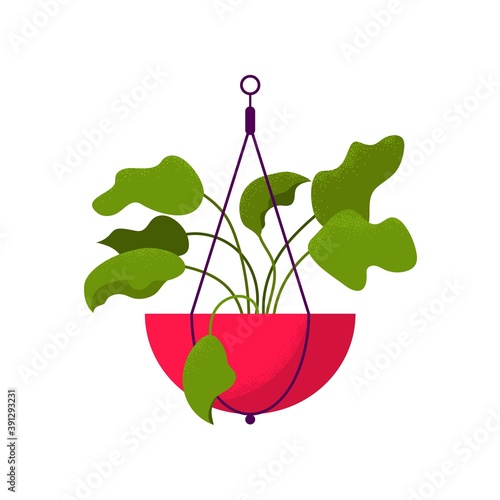 Beautiful potted home hanging flower. Vector illustration isolated on white background. Trendy house decor icon. Houseplant with big green leaves in pink pot, macrame plant hanger.