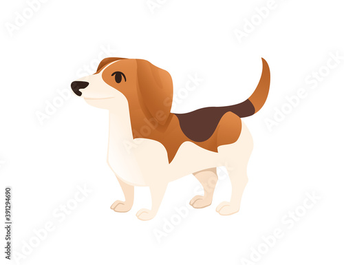 Cute domestic dog Beagle breed cartoon animal design flat vector illustration