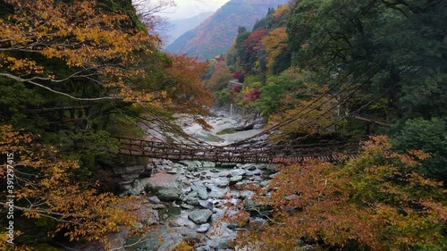 祖谷のかずら橋の紅葉風景
