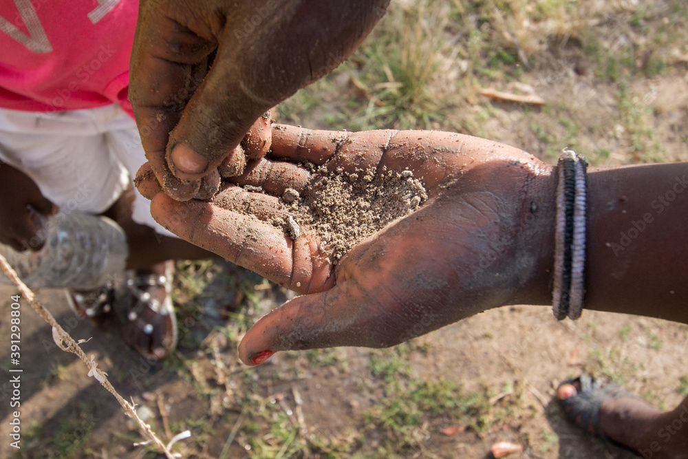Obraz premium Hand washing with ash as an alternative to soap. WHO guidelines currently recommend that ash can be used for hand cleaning when soap is not available. 