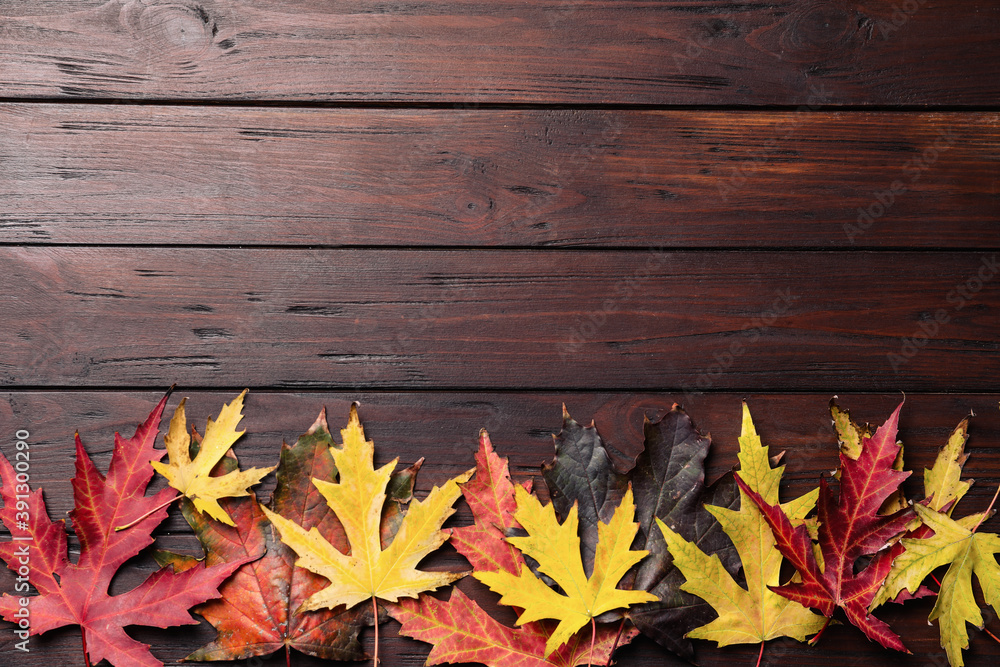 Dry autumn leaves of Japanese maple tree on brown wooden background, flat lay. Space for text Dry autumn leaves of Japanese maple tree on brown wooden background, flat lay. Space for text