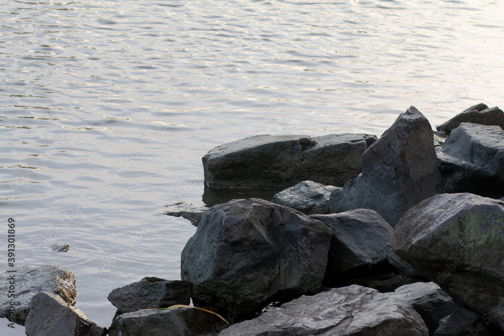 Obraz premium Large boulders lie on the shore of the reservoir. Close-up of wet stones of dark tones.