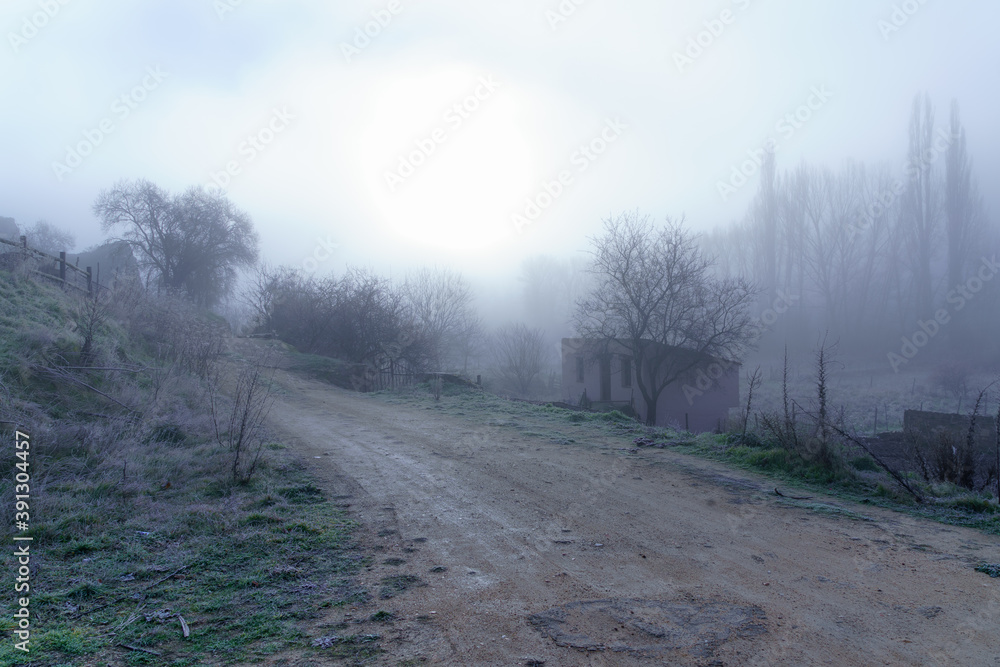Camino en un día de invierno frío y con mucha niebla que impide ver bien. Camino en un día de invierno frío y con mucha niebla que impide ver bien.
