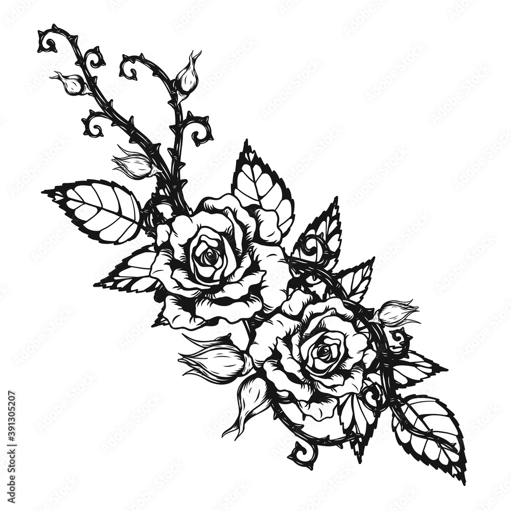 Rose ornament tattoo by hand drawing.Beautiful flower on white background.Anne Harkness rose vector art highly detailed in line art style.Flower tattoo for paint or pattern.