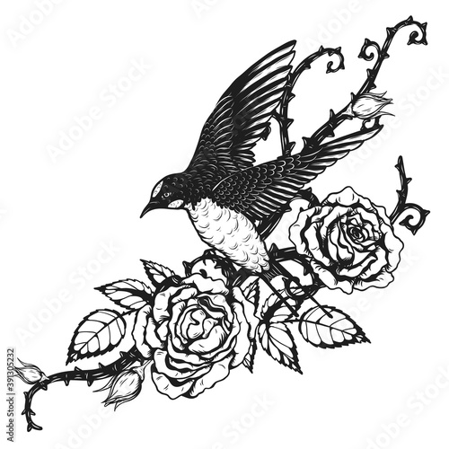 Bird with rose tattoo by hand drawing.Beautiful flower on white background.Anne Harkness rose vector art highly detailed in line art style.Flower tattoo for paint or pattern.