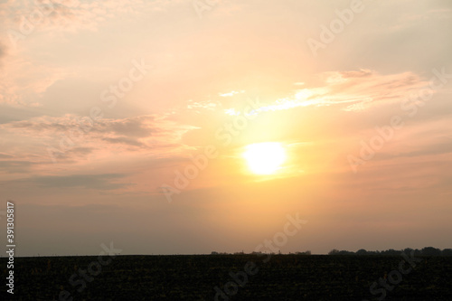 Picturesque view of beautiful field at sunrise. Autumn season © New Africa