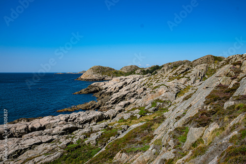 Coastline with rocks and grass