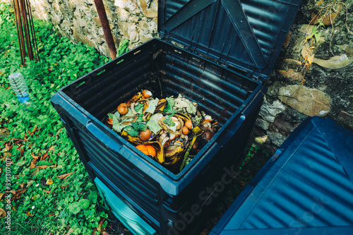 Compost bin with organic waste
