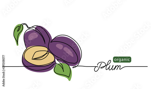 Plum vector illustration. One line drawing art illustration with lettering organic plum.