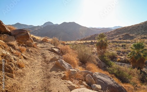 Fotografie PALM SPRINGS, CALIFORNIA, UNITED STATES - Oct 18, 2020: Indian Canyons hiking tr