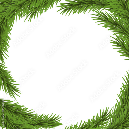 Christmas tree. Green. Spruce. Branch. Evergreen. Border.