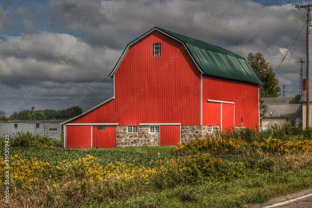 Obraz premium 1363 - Valentines Fieldstone Red