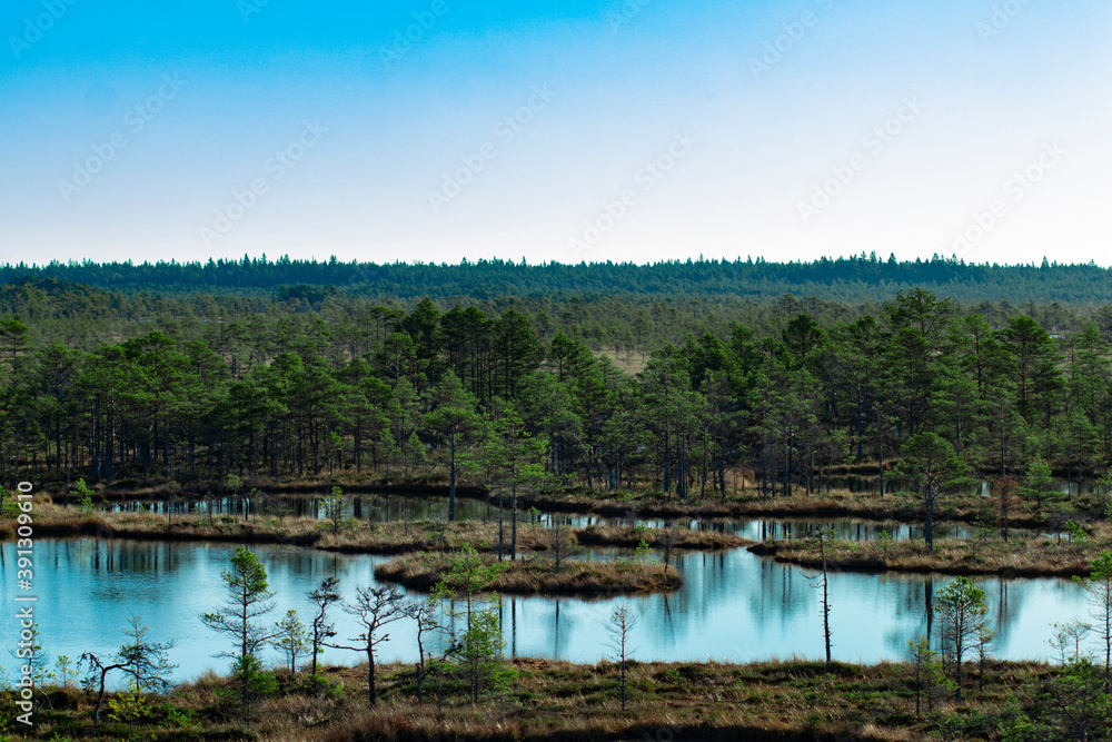 Obraz premium Aerial view of a tranquil lake or river with small islands and a forest in the background under a clear cloudless sky