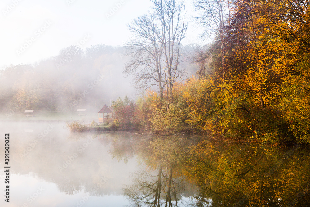 Beautiful landscape with lake and forest. Amazing nature wallpaper. Autumn  trees in foggy morning. Romantic place. Stock Photo | Adobe Stock