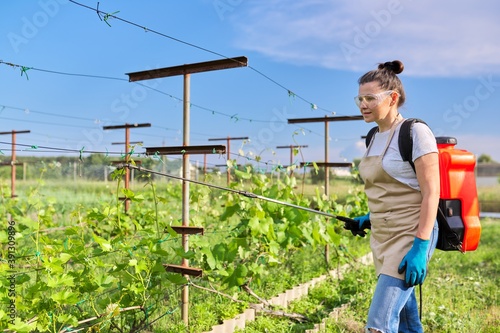 Woman gardener farmer with backpack pressure sprayer sprays vineyard in spring season