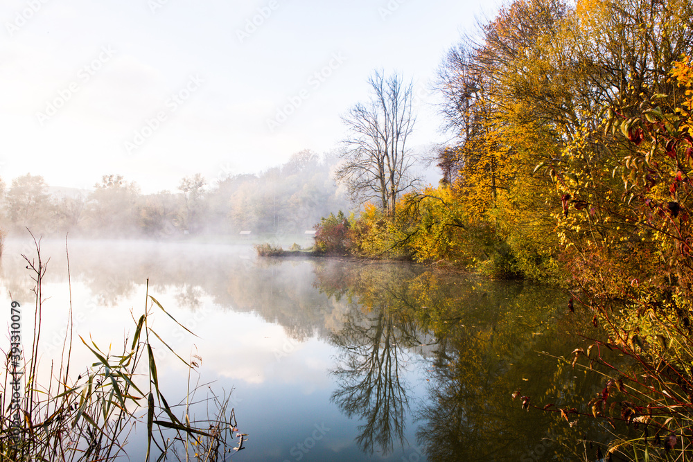 Fototapeta premium Beautiful landscape with lake and forest. Amazing nature wallpaper. Autumn trees in foggy morning. Romantic place. 