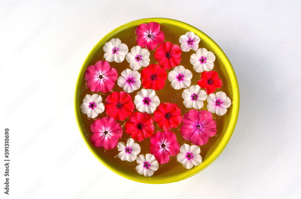 Different colored flower mandala on floating on water plate made of fresh flowers. Floral background with nature flowers. Flower mosaic Different colored flower mandala on floating on water plate made of fresh flowers. Floral background with nature flowers. Flower mosaic