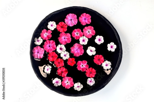 Different colored flower mandala on floating on water plate made of fresh flowers. Floral background with nature flowers. Flower mosaic