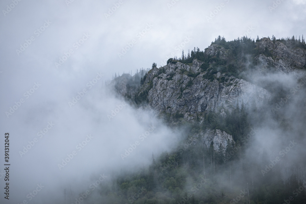 Mgła w górach 
