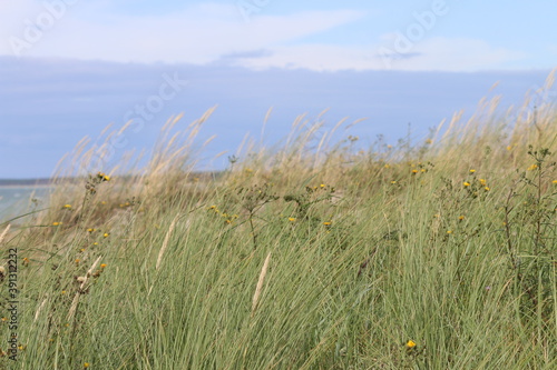 D  nenlandschaft