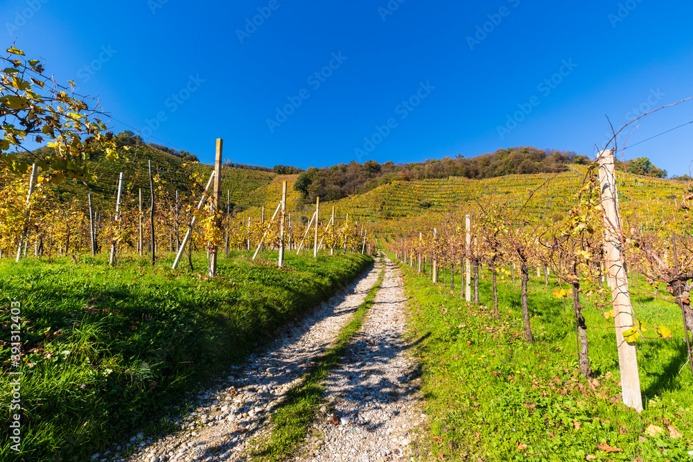 The Prosecco hills in autumn