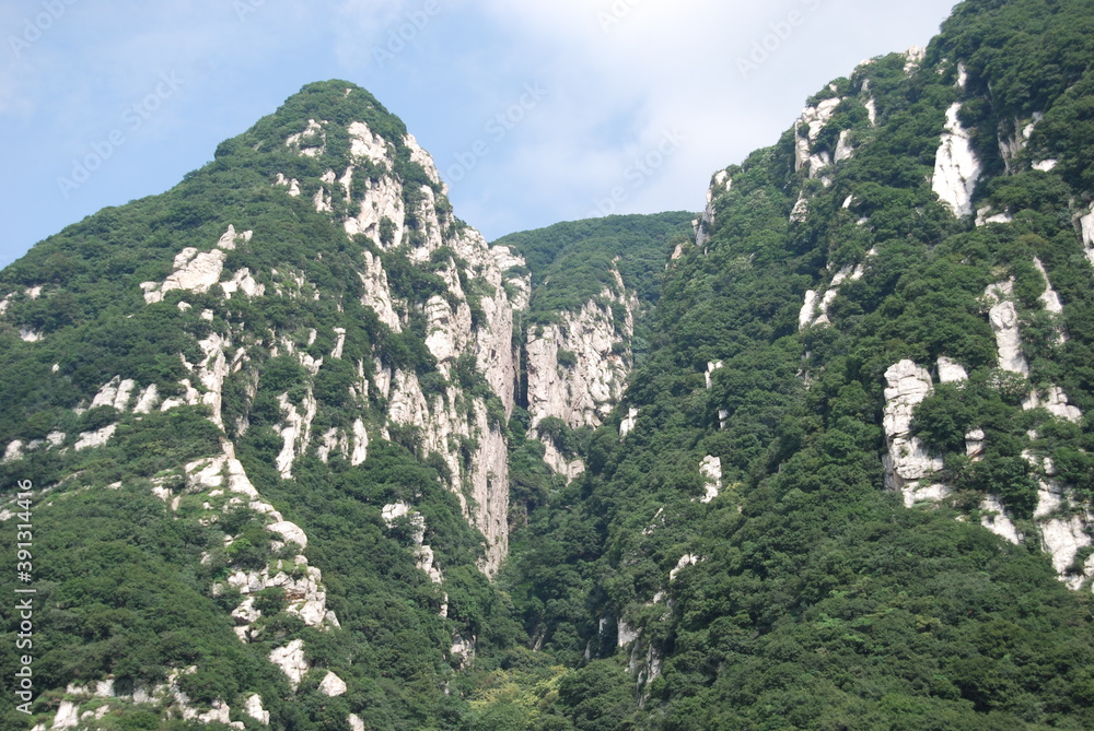 landscape picturesque gorge with mountain peaks covered with pine trees forest