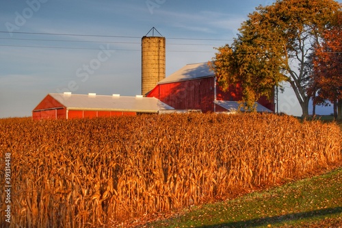 1218 - Lake Pleasant Reds