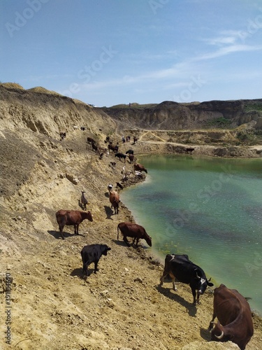 landscape with river