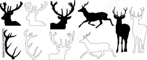 silhouette and outline of Red Deer (Cervus elaphus), vector on white background