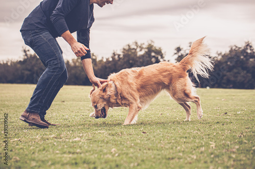 dog