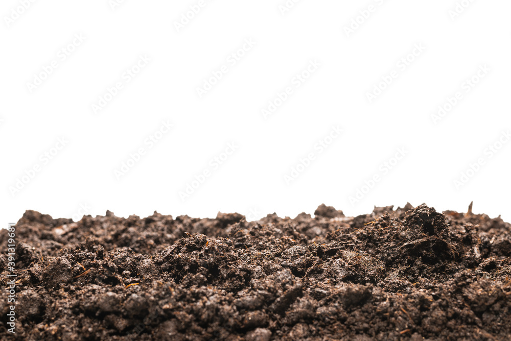 Black land for plant. Black land for plant.