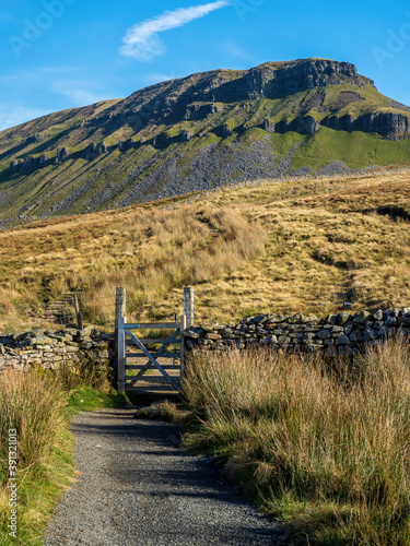 Fototapeta Naklejka Na Ścianę i Meble -  A stone path with a gate takes the hiker up to the mountain of Pen-y-ghent in the Yorkshire Dales National Park. At 2,277 feet, the mountain is one of the 'Three Peaks of Yorkshire'.