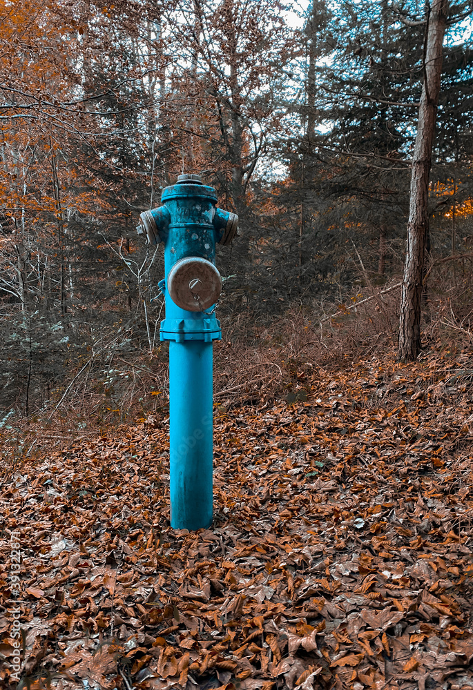 old fire hydrant in the forest old fire hydrant in the forest