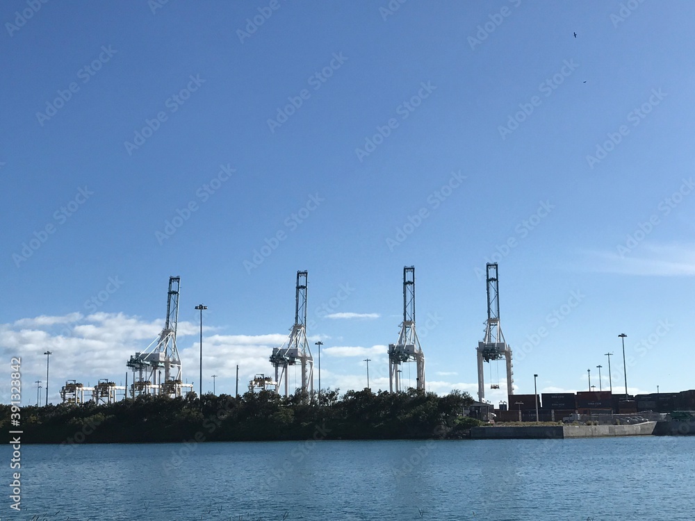Port of Miami Cargo Terminal Cranes View. Photo image