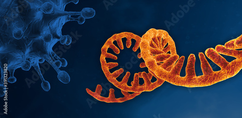 Coronavirus RNA strand. Medical illustration. Microscopic view of SARS-CoV-2 arcturus virus cells. 3D rendering photo