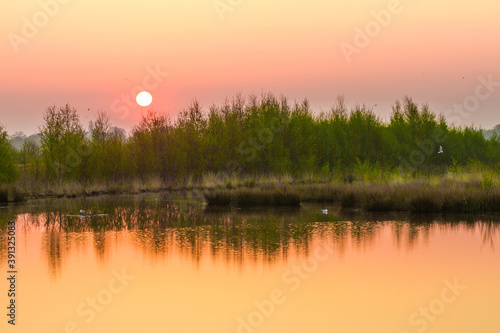 Sonnenaufgang im Moor bei Bargerveen. photo