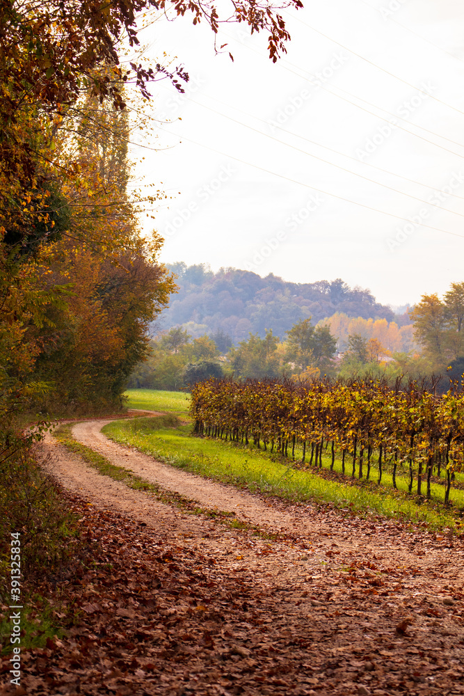 Naklejka premium autumn landscape in the mountains 