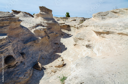 White Earth at Petrified Forest National Park photo