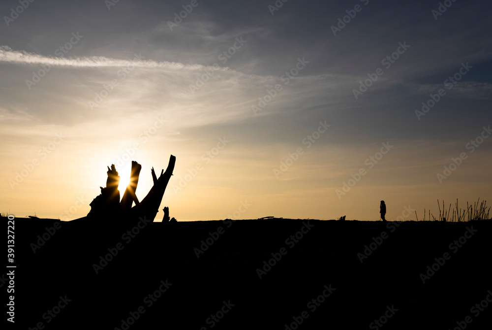 Fototapeta premium man at the sea in backlight