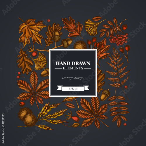 Square design on dark background with fern, dog rose, rowan, ginkgo, maple, oak, horse chestnut, chestnut, hawthorn