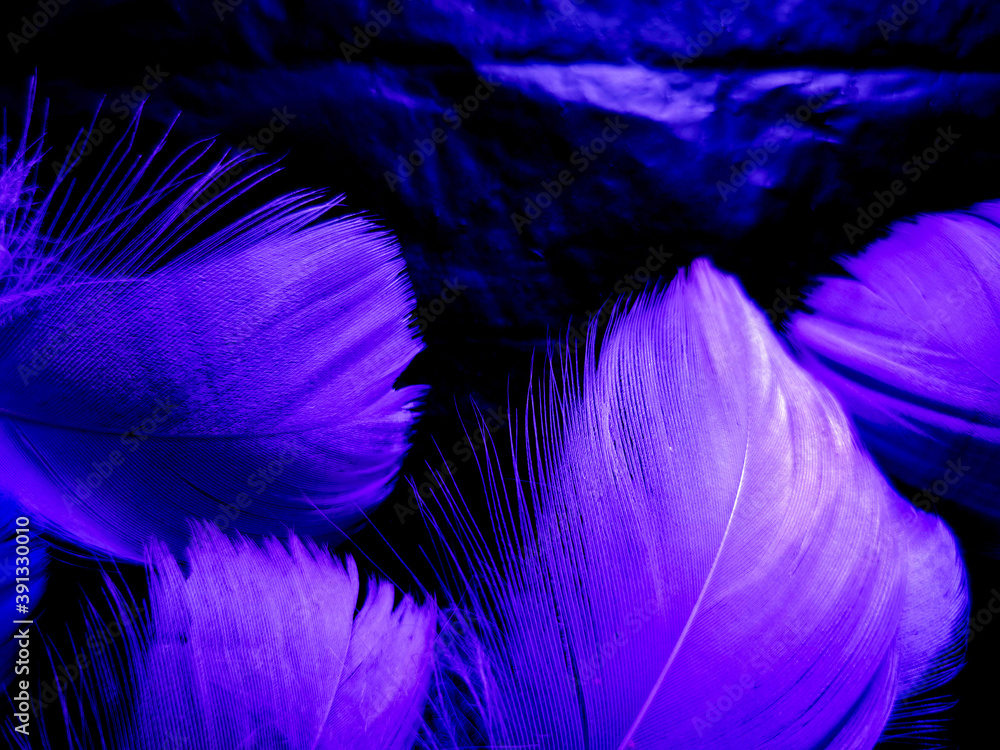 Beautiful abstract purple feathers on dark background, blue feather texture  on black pattern, purple background, colorful feather wallpaper, love  valentines day, dark texture Stock Photo