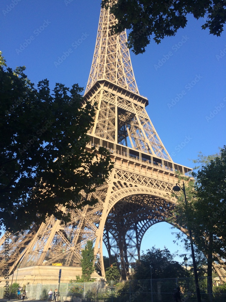 Fototapeta premium eiffel tower