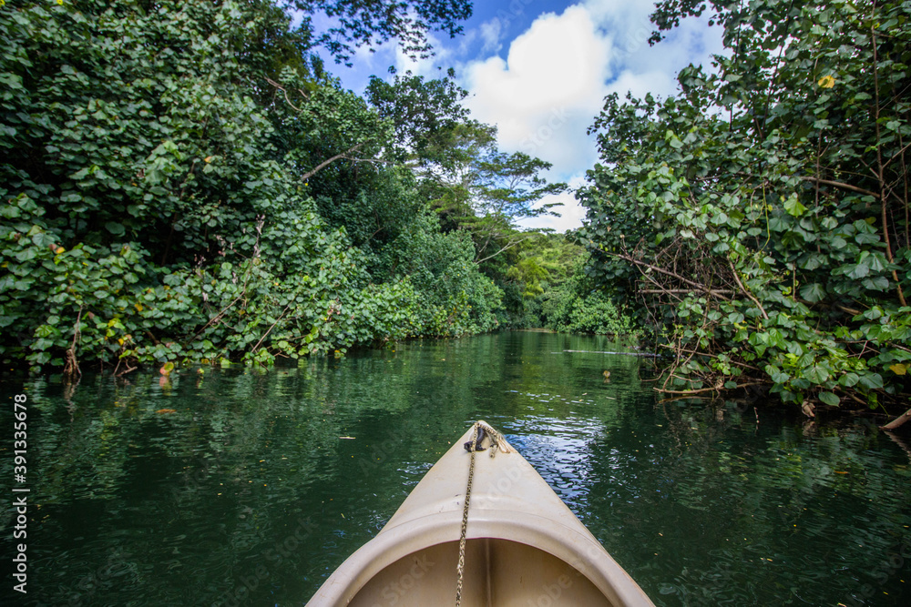 Fototapeta premium Kayak