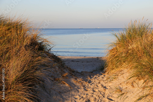 Fototapeta Naklejka Na Ścianę i Meble -  Baltic Sea beach near Heidkate at golden hour, Germany